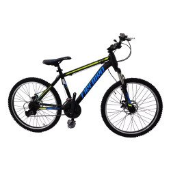 BICICLETA FIREBIRD NENE R24