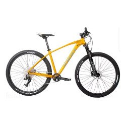 BICICLETA ZION R29 / STRIX /